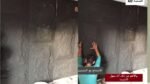 ⁦لوح بديل الحجر كود 204   مقاس 120سم*60سم  السمك 5-2 سم⁩ - الصورة ⁦2⁩